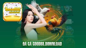 Đá Gà Good88 Nơi Tổ Chức Những Trận Đấu Kịch Tính Nhất